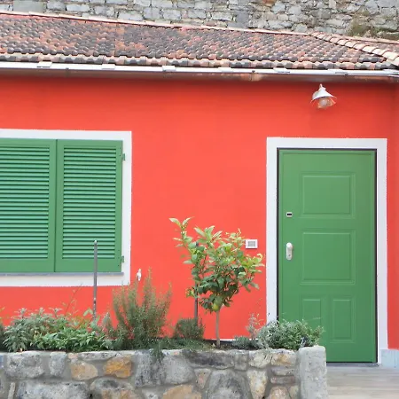 Acciuga Daire *